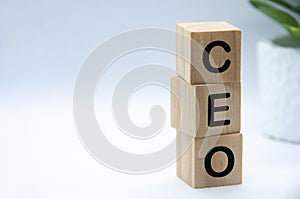 CEO text on wooden blocks with customizable space for text or ideas. Copy space concept.