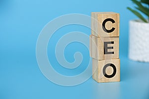 CEO text on wooden blocks with customizable space for text or ideas. Copy space concept.