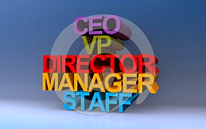 ceo vp director manager staff on blue