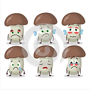 Cep mushroom cartoon character with sad expression