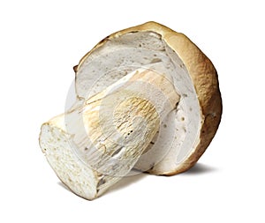 Cepe mushroom isolated on white