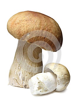 Cepe mushrooms isolated on white