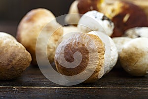 Ceps Boletus edulis over Wooden Dark Background, close up on wood rustic table. Cooking delicious organic mushroom