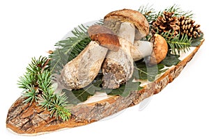 Ceps and leaves on cutting board photo