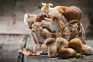 Ceps mushroom. Boletus closeup on wooden table