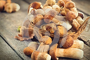 Ceps mushroom. Boletus on wooden rustic table