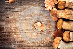 Ceps mushroom. Boletus on wooden rustic table