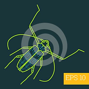 Cerambycidae insect outline