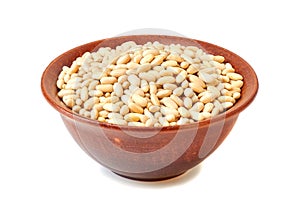 Ceramic bowl with canellini beans on white
