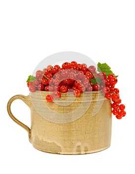 Ceramic cup full of fresh red currant berries.