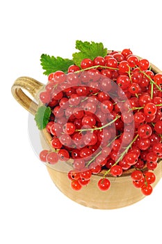 Ceramic cup full of fresh red currant berries