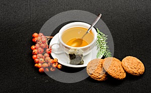 Ceramic cup hot fresh brewed tea beverage. Health care folk remedies. Drink aromatic beverage. Cafe restaurant menu. Cup