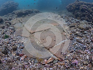 Ceramic floor tiles Emperor Claudioâ€™s Ninfeum. underwater,