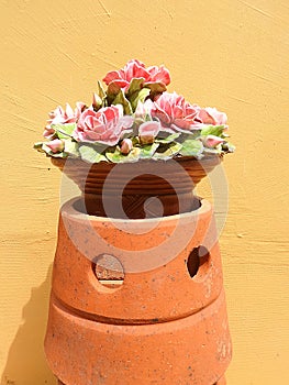 Ceramic flower basket on yellow wall