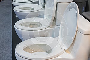 Ceramic flush toilet