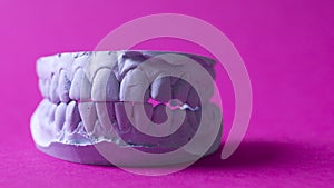 Ceramic model of human teeth.