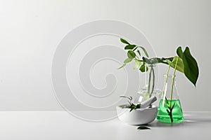 Ceramic mortar and laboratory glassware with plants on white background