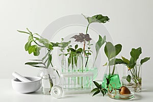 Ceramic mortar and laboratory glassware with plants on white background.