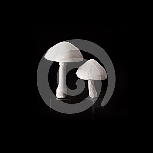 Ceramic mushrooms isolated on a black background