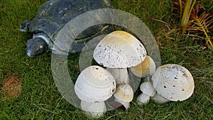 Ceramic musroom in the garden,