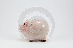 Ceramic pig piggy box