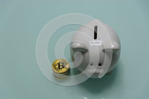Ceramic Piggy bank with pile of crypto currrency coins