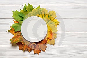 Ceramic plate and fallen leaves on a white wood background
