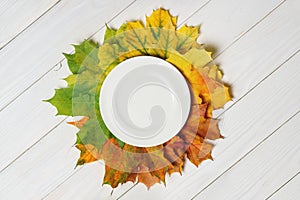 Ceramic plate and fallen leaves on a white wood background top