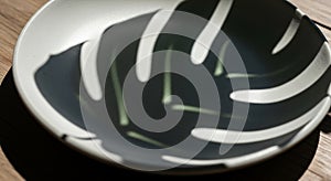 A ceramic plate with a monochrome