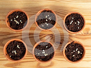 Ceramic pots for planting seeds.