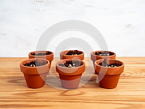 Ceramic pots for planting seeds.