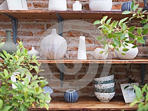 ceramic pots with succulents on a wooden shelf.
