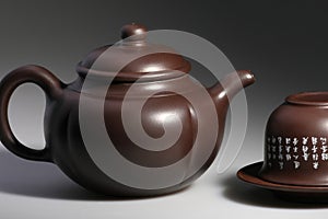 Ceramic tea-pot