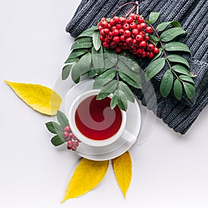 Ceramic teacup on white served table. Herbal tea in porcelain mug with saucer. Knitted sweater, rowan branch and rowanberry flat