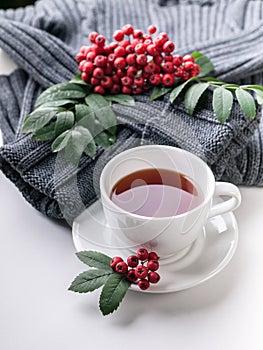 Ceramic teacup on white served table. Herbal tea in porcelain mug with saucer. Knitted sweater, rowan branch still life. Hot