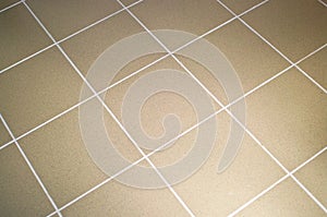 Ceramic tile floor brown color