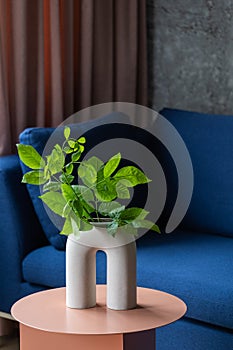 Ceramic vase with leaf branch on modern table in lounge room