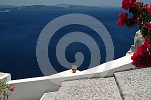 Ceramic vase over sea santorini