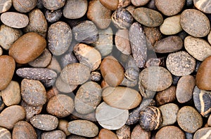 Ceramic Wall tiles Design for Wall tiles and Floor tiles.