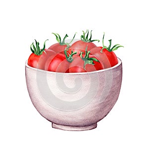 Ceramic white bowl with cherry tomatoes. Hand drawn watercolor illustration isolated on white for menu, label, package