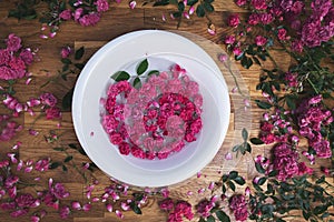 Ceramic white bowl with pink roses closeup