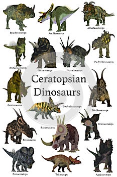 Ceratopsian Dinosaurs Collection