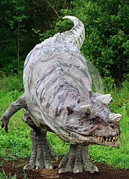 Ceratosaurus