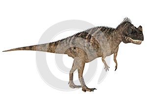 Ceratosaurus