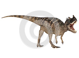 Ceratosaurus