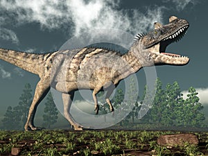 Ceratosaurus dinosaur - 3D render