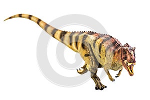 Ceratosaurus Dinosaur on white isolate background Clipping path