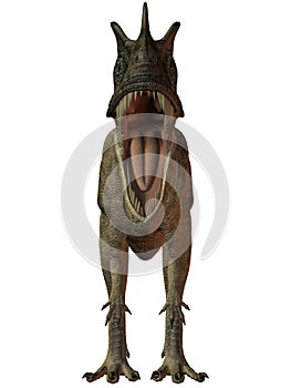 Ceratosaurus nasicornis-3D Dinosaur