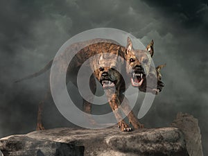 Cerberus photo