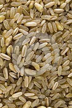 Cereal bio mix grains